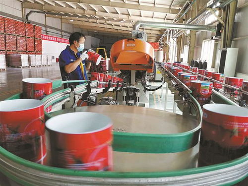 防疫不松勁 生產加速度 技術開發 三線并進，筑牢發展根基